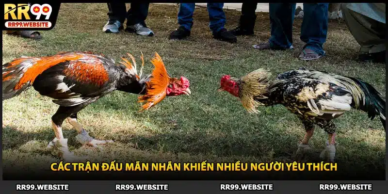 Các trận đấu mãn nhãn khiến nhiều người yêu thích