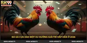 Đá Gà Cựa Dao Một Xu Hướng Giải Trí Hấp Dẫn Ở 2026