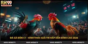 Đá Gà Đòn C1 - Hình Thức Giải Trí Hấp Dẫn Đỉnh Cao 2026