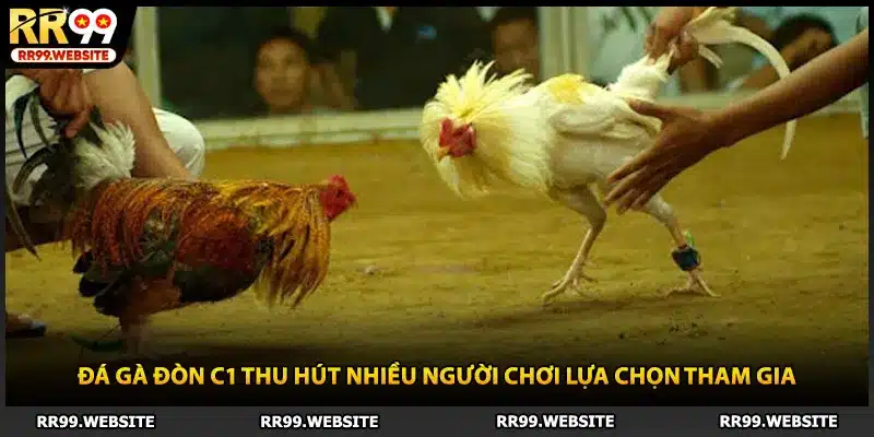 Đá gà đòn C1 thu hút nhiều người chơi lựa chọn tham gia