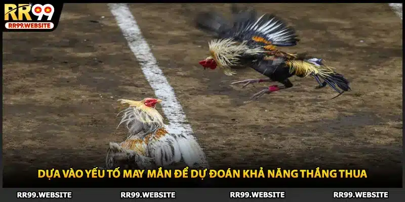 Dựa vào yếu tố may mắn để dự đoán khả năng thắng thua