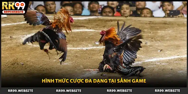 Hình thức cược đa dạng tại sảnh game