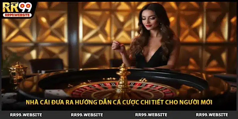 Nhà cái đưa ra hướng dẫn cá cược chi tiết cho người mới