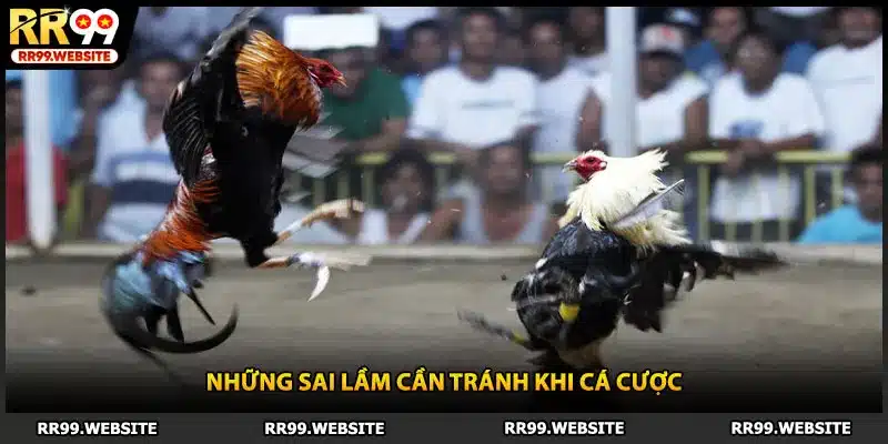 Những sai lầm cần tránh khi cá cược