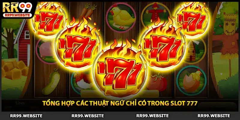Tổng hợp các thuật ngữ chỉ có trong slot 777